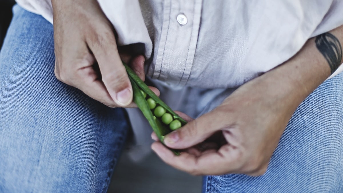 Los Beneficios de una Alimentación Balanceada